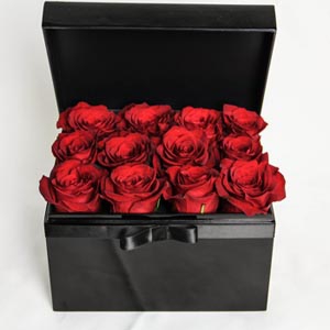Valentines Day Estelle Syria